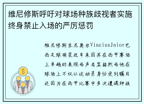 维尼修斯呼吁对球场种族歧视者实施终身禁止入场的严厉惩罚